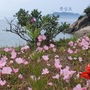 장산곶 이미지