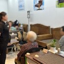 영양칠보석의료기 이미지