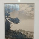 도봉-도봉-서울도봉-2421 | 250924 서울시립 사진 미술관