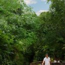 한결카써비스 이미지