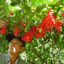 가북보건지소 이미지