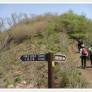 철쭉동산 이미지