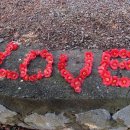 동백산방 이미지