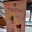 스타벅스 파주문산DT점 이미지