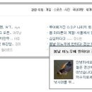 백양지 네이버블로그