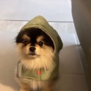 힐링나이트 이미지