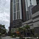 대구 이사업체 추천 빌라에서 아파트 포장이사 고고무빙 내돈내산 후기