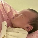 미즈포스 | 모모 출산부터 17일간 육아기록 (산후조리원 기간)