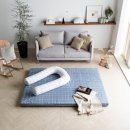 레이디폼 이미지