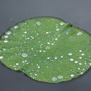 좋은선물 이미지