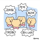 산들수영장 일산점 이미지