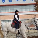 충주중앙탑초 이미지