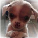 조형관 화장실 이미지