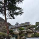 금산어죽 | 금산 “배나무집” 어죽 맛집 후기