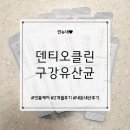 이가의안클린 | 덴티오클린 구강 유산균으로 잇몸 살리기 도전! 내 돈 내산 후기