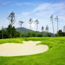 청통골프장 이미지