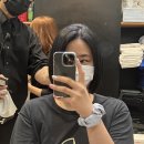 댕'stop 네이버블로그