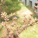 관악산현대홈타운 이미지