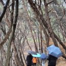 희메디 | [진아명상 한밝음명상 8기 워크숍 후기] 겨울 자연과 명상처에서 만난 진짜 나, 따뜻한 귀환