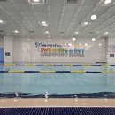 넘버원수영이야기 이미지