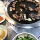 돼지나라갈매기꿈 이미지