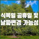 식목일