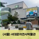 서대문자연사박물관(3월~10월) 이미지