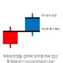 선지점 현대자동차 | (주보) IN SPITE OF....