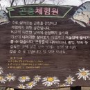 친환경곤충연구소 네이버블로그