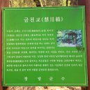 창녕 남지 개비리 | 창녕 개비리 길 트레킹(경상남도 창녕군 남지읍 용산리 160-2)