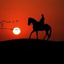 통도승마랜드 이미지