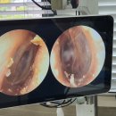 수지하나이비인후과의원 이미지