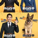 미스터양 이미지