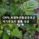 김덕수 행정사사무소 이미지