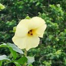동산농장(1) 이미지