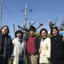 북촌리멤버 이미지