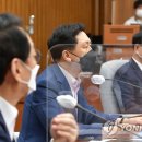 김기현 카카오 검색결과