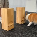 올 마스터 독 이미지