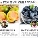 삼촌네농장