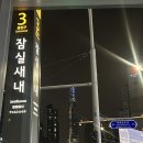 잠실새내브런치카페 사생활 | 잠실 사생활 명란카츠크림파스타 강추