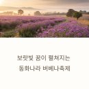 고고장구(트롯장구) | 전남 장성 버베나축제: 놓치지 말아야 할 개화 시기와 교통편 정보(버들마편초,동화면,동화나라)