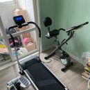 트레이닝 마에스트로 이미지