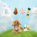 울산 이승진동물병원 이미지