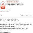 펌) 80년생이 고백하는 미혼 나혼자산다의 삶 이미지