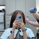 헤어이즈(Hairease) | 정자동미용실 Hairease 에서 뿌염받고왔어요~