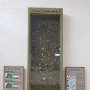 근호목장 | 강원도여행추천~강원도 아이와함께가볼만한곳!! 태백고생대자연사박물관!! ft. 강원도여행계획