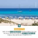 아일랜드