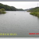 대천천1 이미지