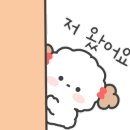 세지면사무소 이미지