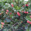 대호레져글램핑 이미지